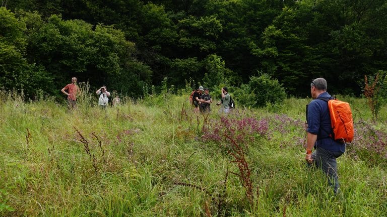 In search of the Forest Caterpillar Hunter with UK Forest Research