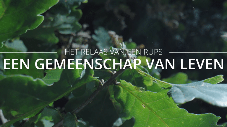 ‘Een Gemeenschap van Leven’ wins Audience Award at Wildlife Film Festival Rotterdam