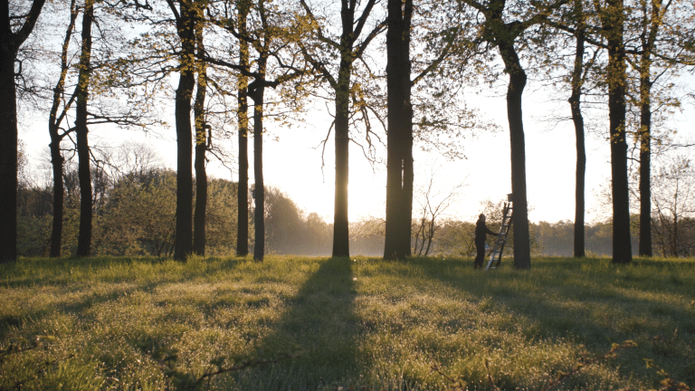 LIFE Oak Processionary – a retrospective